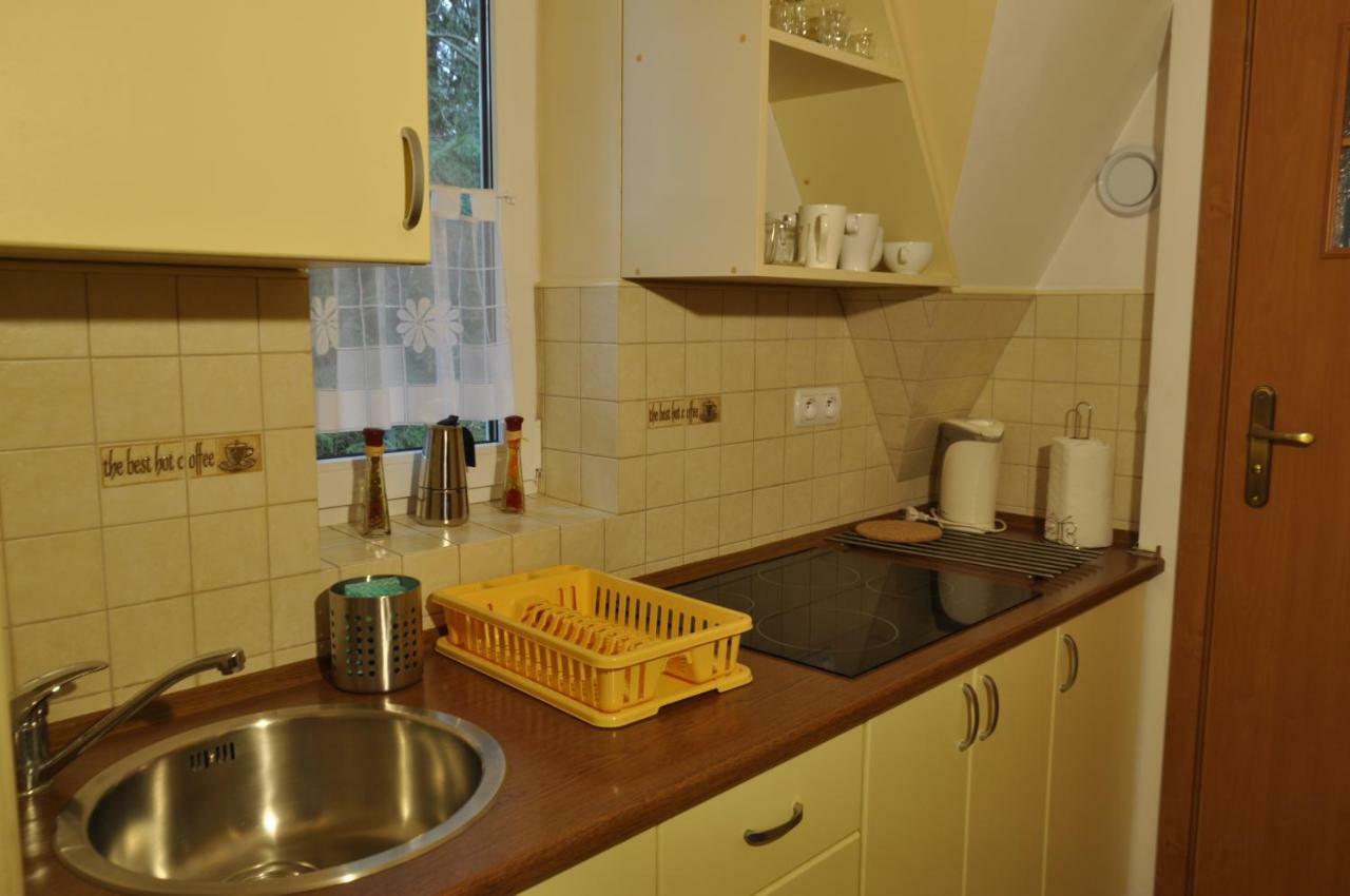 Apartamenty Sobiczkowa Wyspa Kościelisko Esterno foto